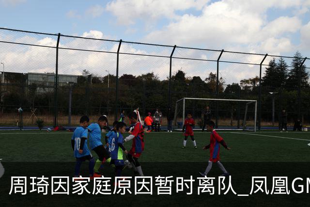 周琦因家庭原因暂时离队 凤凰GM：全力支持他